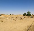 126. Timbuktu surnuaed